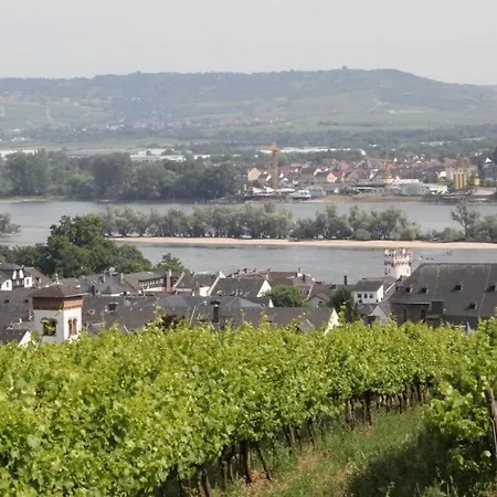 Apartment Holiday Luna Ruedesheim am Rhein